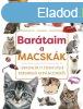 BARTAIM, A MACSKK