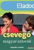 Lingea Cseveg Magyar-szlovk 