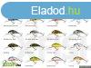 Salmo Wobbler Hornet H4F D