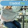 Chicco Boppy 4 & More multifunkcis kend - Pearl