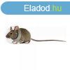 Erzsbet-korabeli nyakrv rgcslknak KVP tltsz 5.75-7.5
