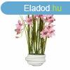 Dekor nvny Mica Decorations Cymbidium Poliszter Orchidea 