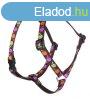 Lupine Roman hm (Candy Apple 1,25 cm szles 31-50 cm)