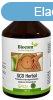 Biocom SCD Herbal - Probiotikus ital 150 ml