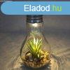 Vilgt Led nvnydekorcival, elemes
