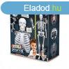 sszepthet emberi csontvz 85 cm-es BUKI
