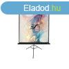 EliteScreens T85UWS1 85" (1:1) 152x152cm mobil fekete h