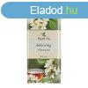 MECSEK AKCVIRG TEA
