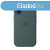 Apple iPhone 16 Silicone Case with MagSafe Lake Green (Seaso