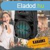 Karaoke bluetooth hangfal LZ6102