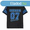 Unisex rvid ujj pl Harry Potter Ravenclaw Fekete MOST 28