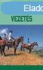 Gyrffy-Villm Andrs A lovastra vezets Antikvr