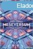 Csbi Orsolya - Meseversum - Meseterpis elmlet s gyakorl