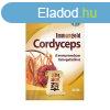 Dr. Chen Immungold - 40 db 