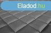 Br teljes padl borts Daf XG 2021-tl (szrke) fix utasl
