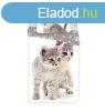 Kitten greyy cics gynemhuzat 140x200 cm