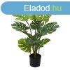 Dekor nvny Poliuretn Cement Monstera 120 cm MOST 66484 HE