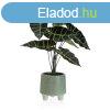 Dekor nvny Versa Fm Kermia polisztirn Manyag 30 x 46 x