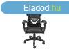 FURY Avenger L Gaming Chair Black/White