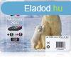 Epson T2636 (26XL) Multipack tintapatron