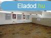 Kiad ipari ingatlan Solt, 	51 sz. ft mentn