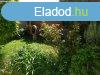 Kiad 2 szobs, 40 nm-es, els emeleti laks a belvrosban