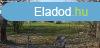 Elad 50 nm-es Kzepes llapot Htvgi hz Meztr