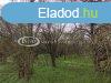 Elad 680 nm-es Fld Veszprm