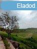 Elad 48 nm-es dl, nyaral Pcsely