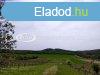 Elad 48 nm-es dl, nyaral Pcsely