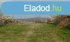 Nagy ptsi telek Balatonszrszn elad!