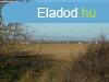 Klterleti sznt elad Balatonendrden