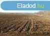 Klterleti sznt elad Balatonendrden