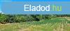 Balatonszrszn zrtkerti telkek elad