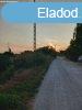 Balatonszabadiban mezgazdasgi telek elad