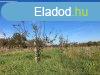 Zrtkerti telek gymlcsssel Balatonendrden elad