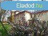 Balatonfzfn kastly villa plet zlethelysg 4 szintes 20