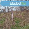 ptsi telek BALATONSZABADIBAN ELAD! - Balatonszabadi