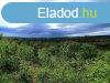 Panorms ingatlan elad! - Ktcse