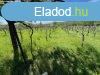 Elad Klterleti telek Balatonalmdi