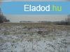 Elad Telek, Dabas