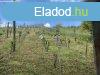 Elad hz, Kemendollr
