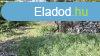 Elad Klterleti telek Biatorbgy Csabagyngye t 40 