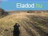 Elad Egyb Balatonberny