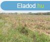 Elad 21875 nm-es Egyb Alsnmedi