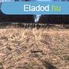 Elad 900 nm-es Egyb Dabas