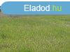 Elad 1300 nm-es Egyb Dabas
