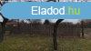 Elad 551 nm-es Egyb Pilis