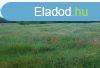 Elad 7430 nm-es Egyb Dabas