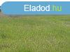Elad 1800 nm-es Egyb Dabas